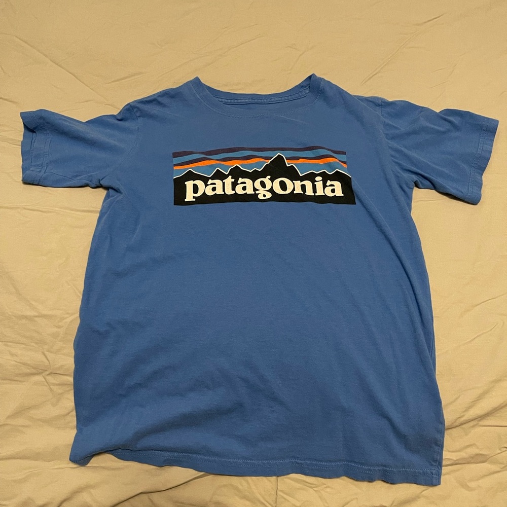 Patagonia Blue Graphic T-Shirt